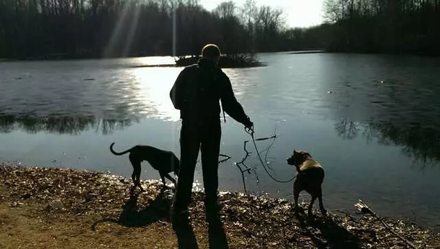 Andrew Warner Dog Training