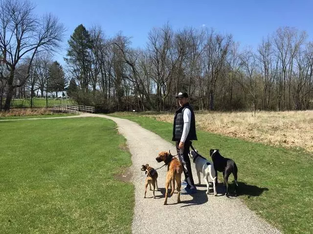Andrew Warner Dog Training