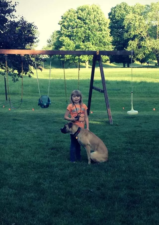 Andrew Warner Dog Training