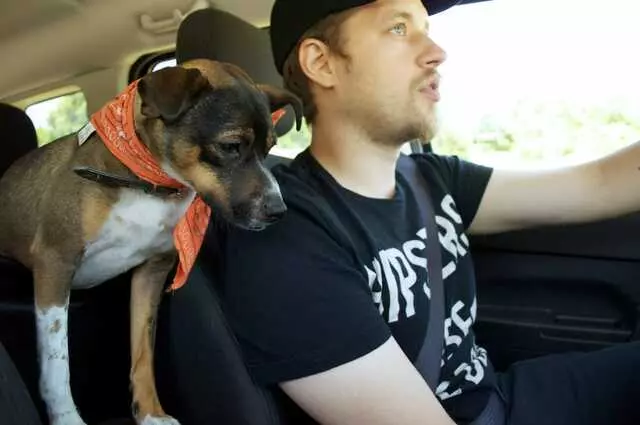 Andrew Warner Dog Training