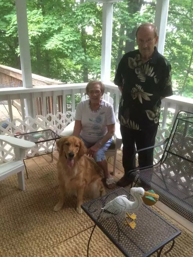 Andrew Warner Dog Training