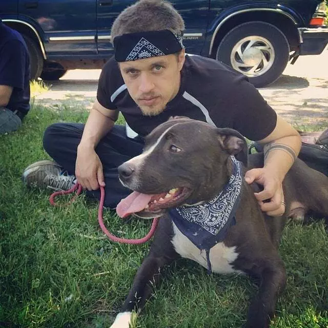 Andrew Warner Dog Training