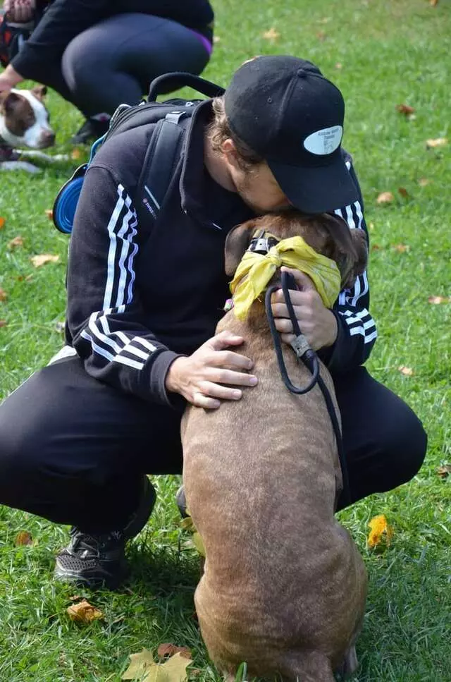 Andrew Warner Dog Training