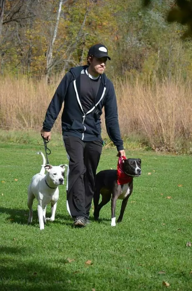 Andrew Warner Dog Training