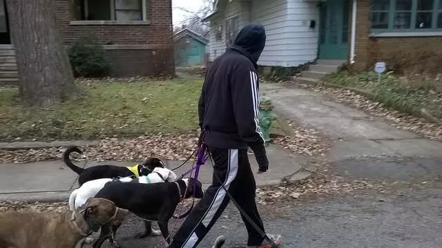 Andrew Warner Dog Training