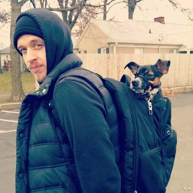 Andrew Warner Dog Training