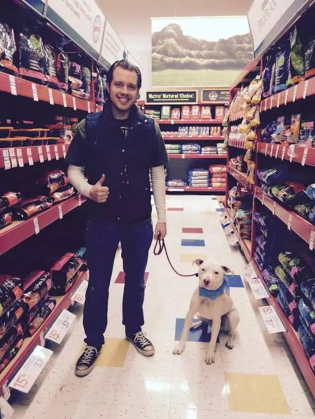 Andrew Warner Dog Training