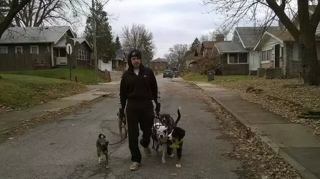 Andrew Warner Dog Training