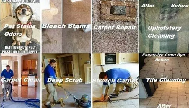 All Colors Carpet Cleaning Indianapolis Stretching-Repairs