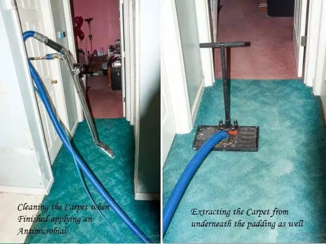 All Colors Carpet Cleaning Indianapolis Stretching-Repairs