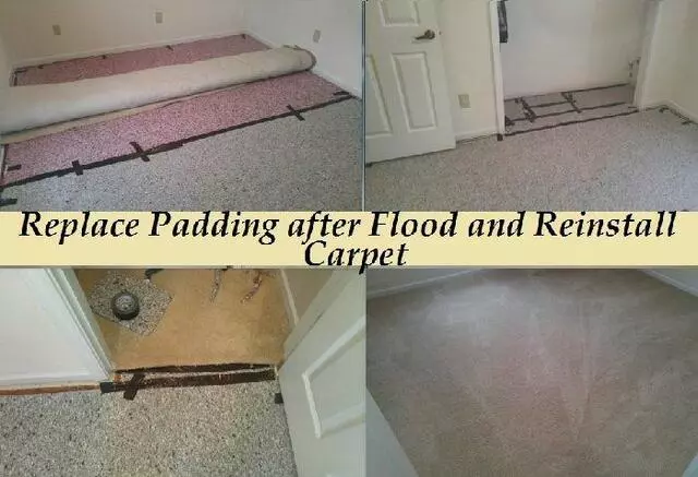All Colors Carpet Cleaning Indianapolis Stretching-Repairs