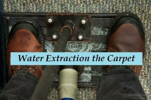 All Colors Carpet Cleaning Indianapolis Stretching-Repairs