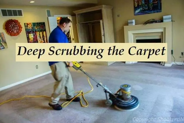All Colors Carpet Cleaning Indianapolis Stretching-Repairs
