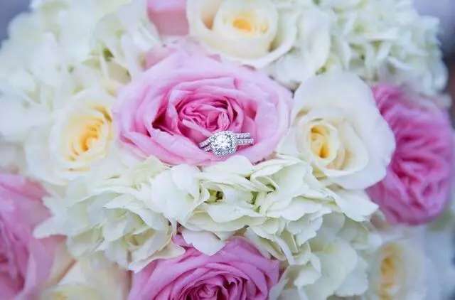 Aww Moments Photography