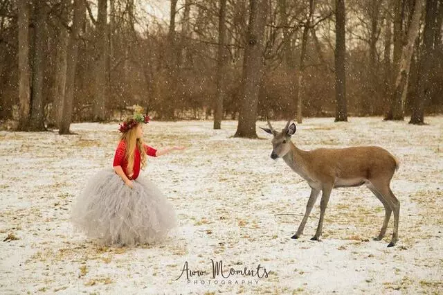 Aww Moments Photography