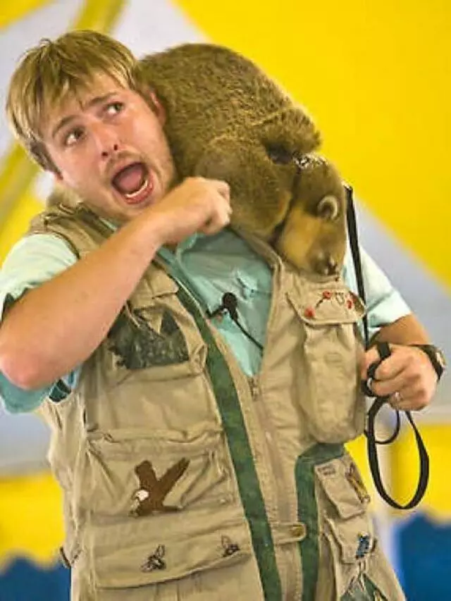 Silly Safaris