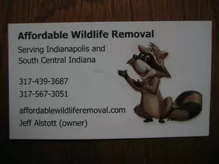 Affordable Wildlife Removal