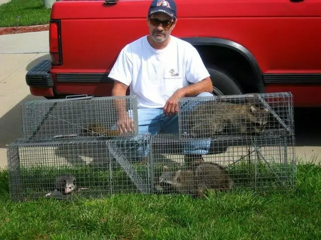 Affordable Wildlife Removal