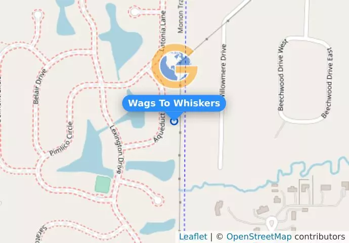 Wags To Whiskers