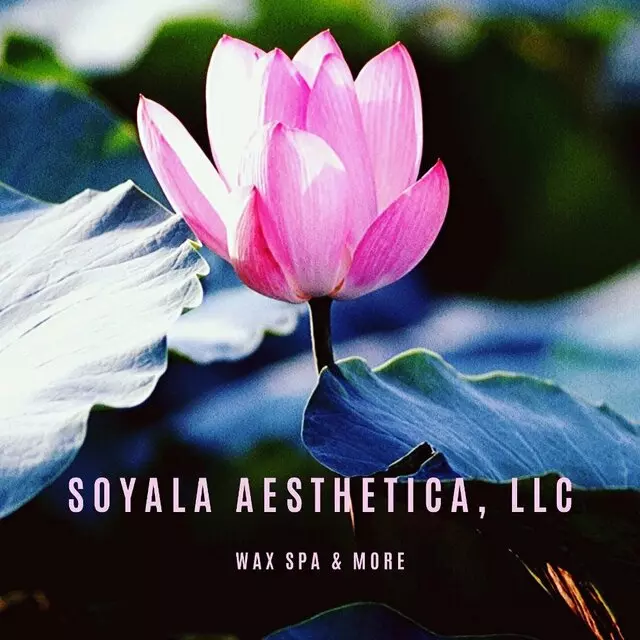 Soyala Aesthetica