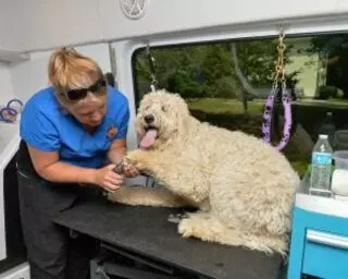 Aussie Pet Mobile West Indianapolis