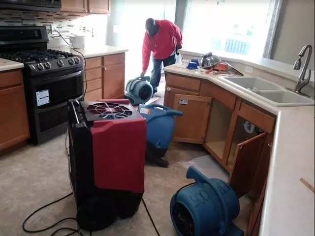 Twins Water Restoration