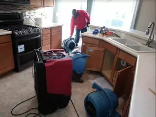 Twins Water Restoration