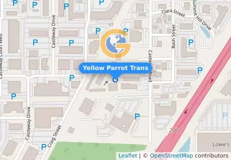 Yellow Parrot Trans
