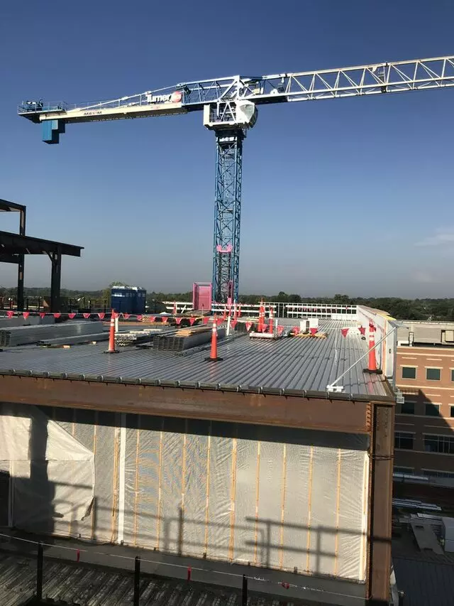 Crane Industry Experts