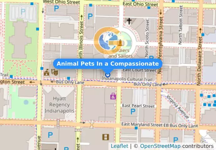 Animal Pets In a Compassionate