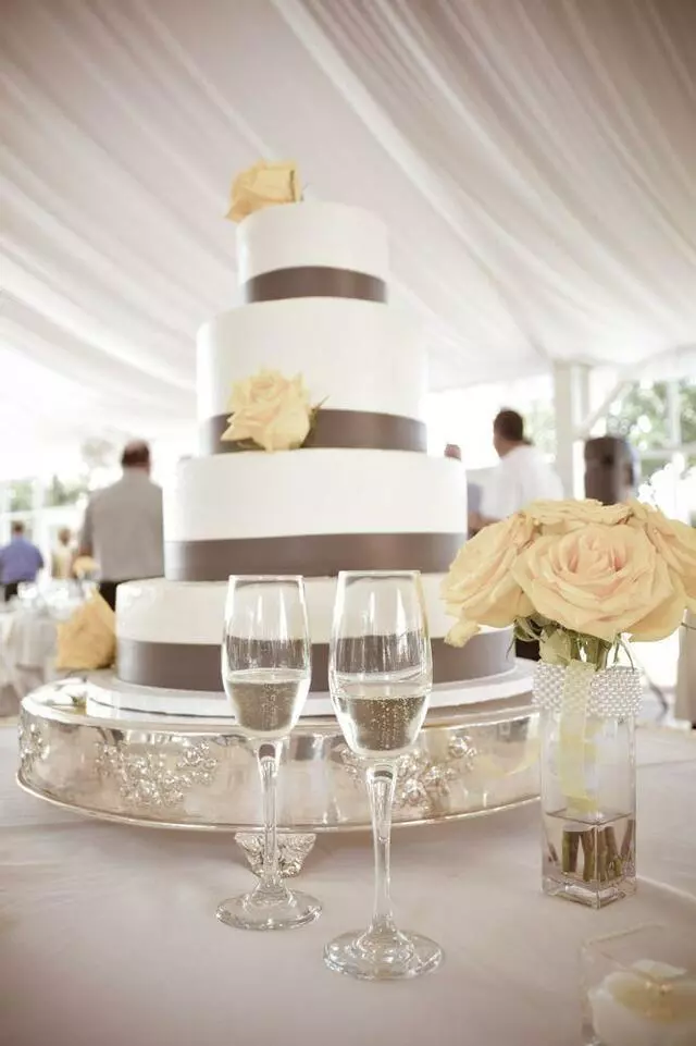 Anne Buskirk Photography