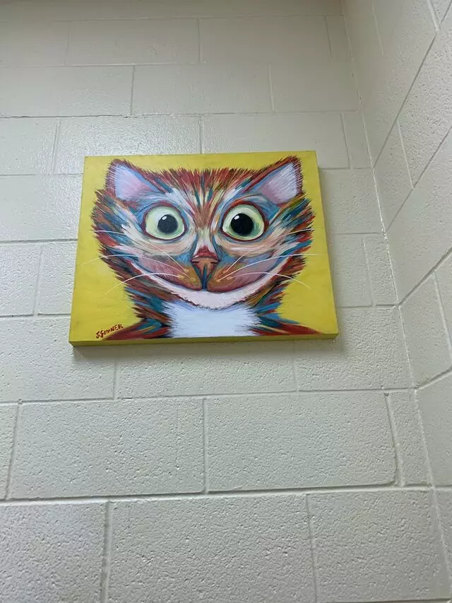 Avalon Animal Clinic