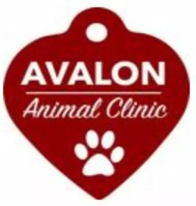 Avalon Animal Clinic