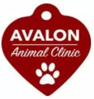 Avalon Animal Clinic