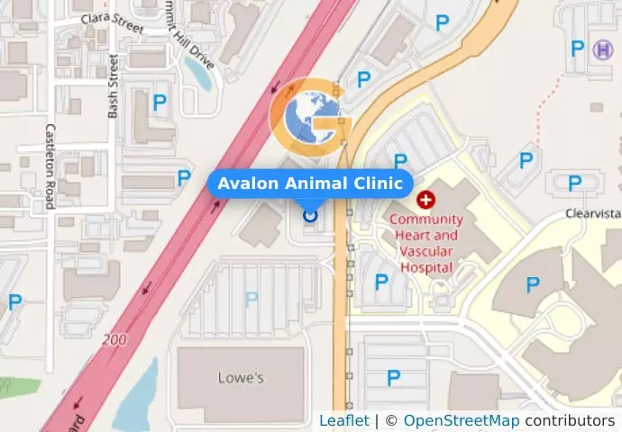 Avalon Animal Clinic