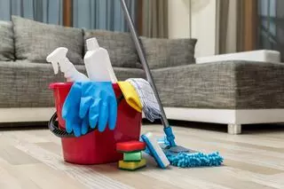 Minis Cleaning Service