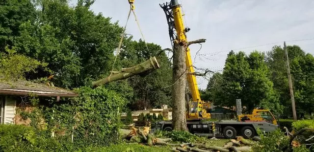 Artistic Touch Tree Service
