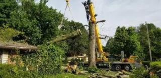 Artistic Touch Tree Service
