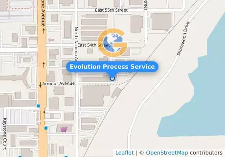 Evolution Process Service