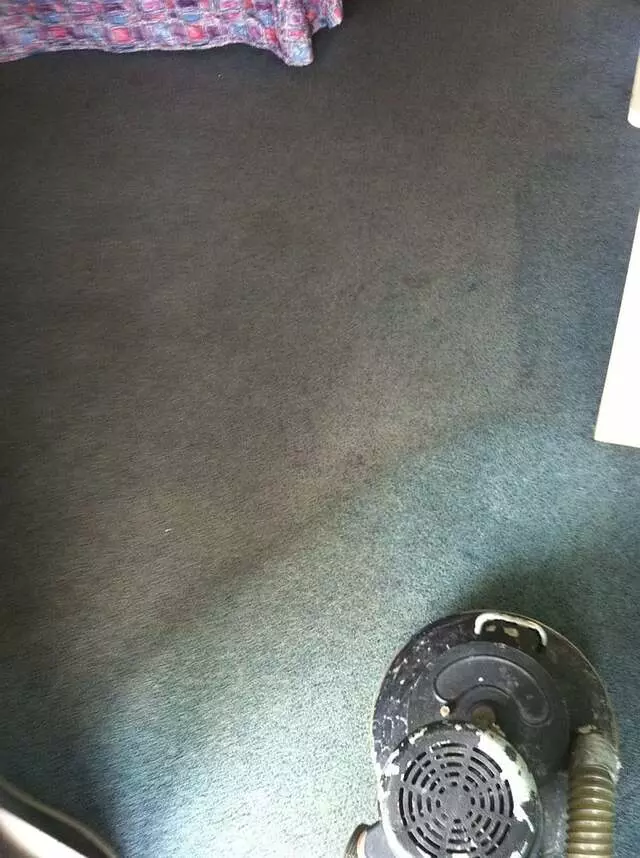AmeriGreen Carpet Care