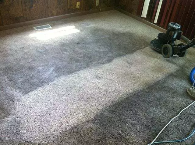 AmeriGreen Carpet Care