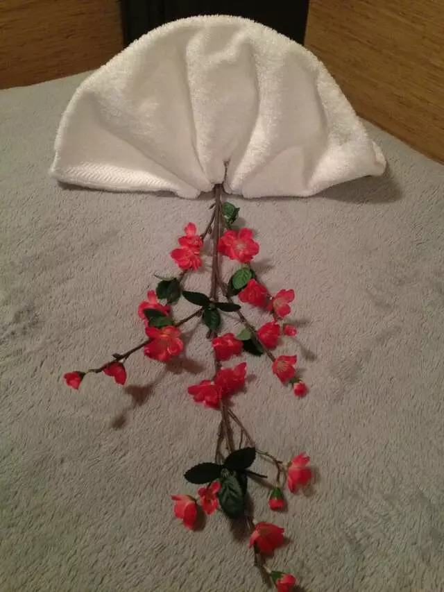 Avia Spa