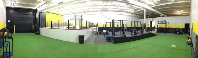 Styner Sports Training