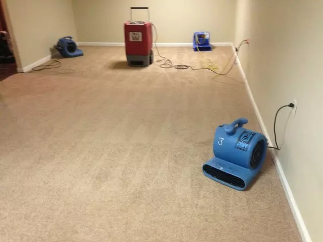 A Affordable Carpet & Upholstery Cleaning