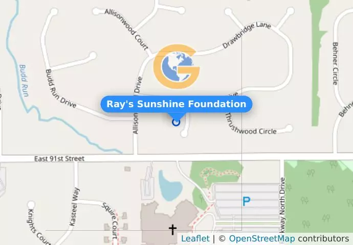 Ray's Sunshine Foundation