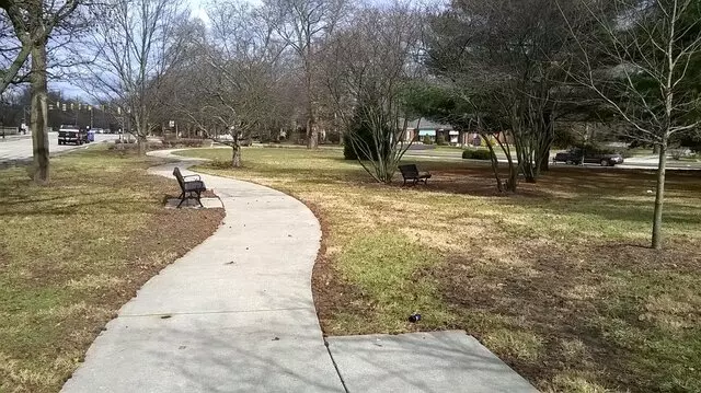 Alice Carter Place