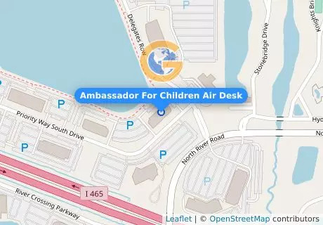 Ambassador For Children Air Desk
