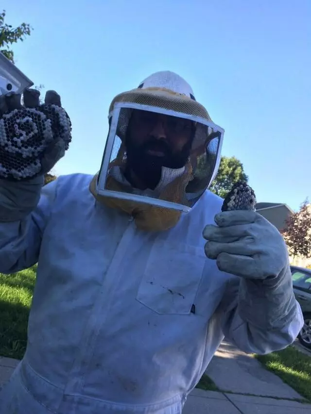 Affordable Pest Control
