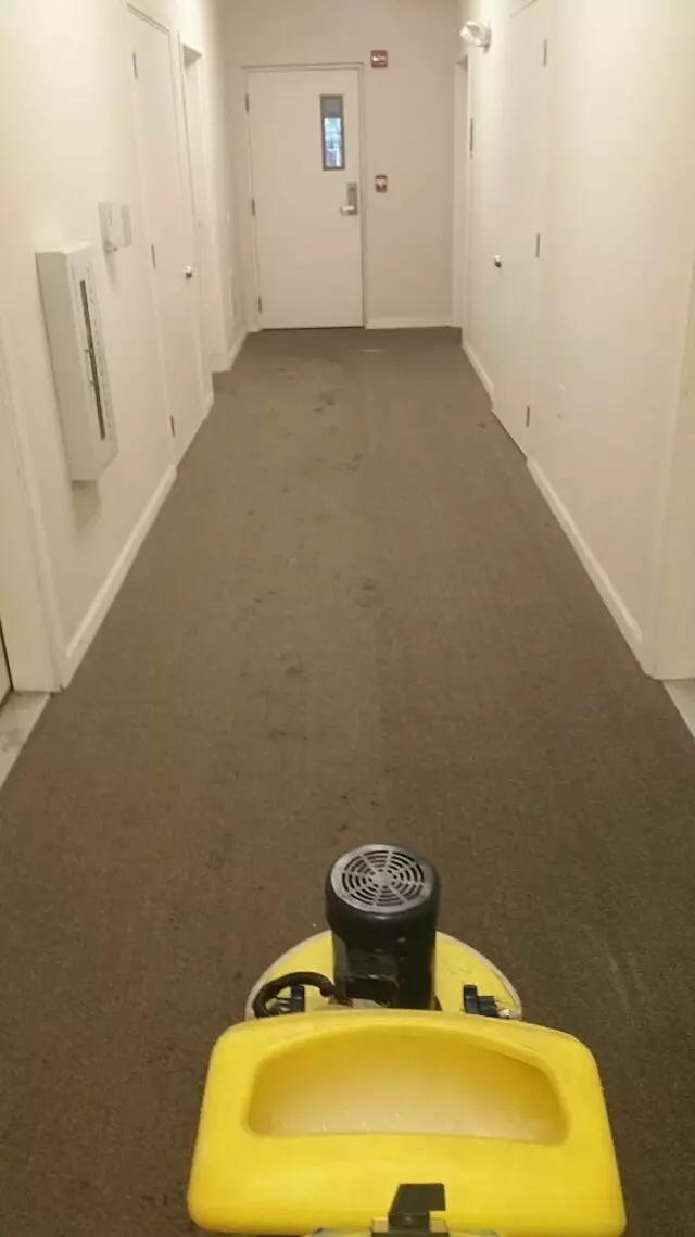 A Master’s Touch Carpet Cleaning