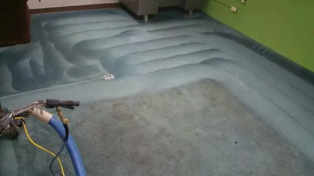A Master’s Touch Carpet Cleaning